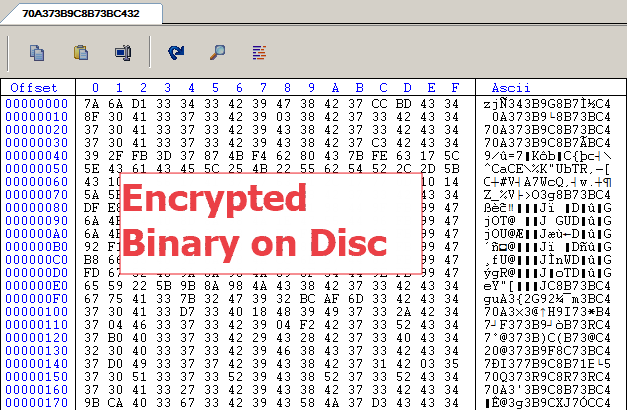 Encrypted Binary