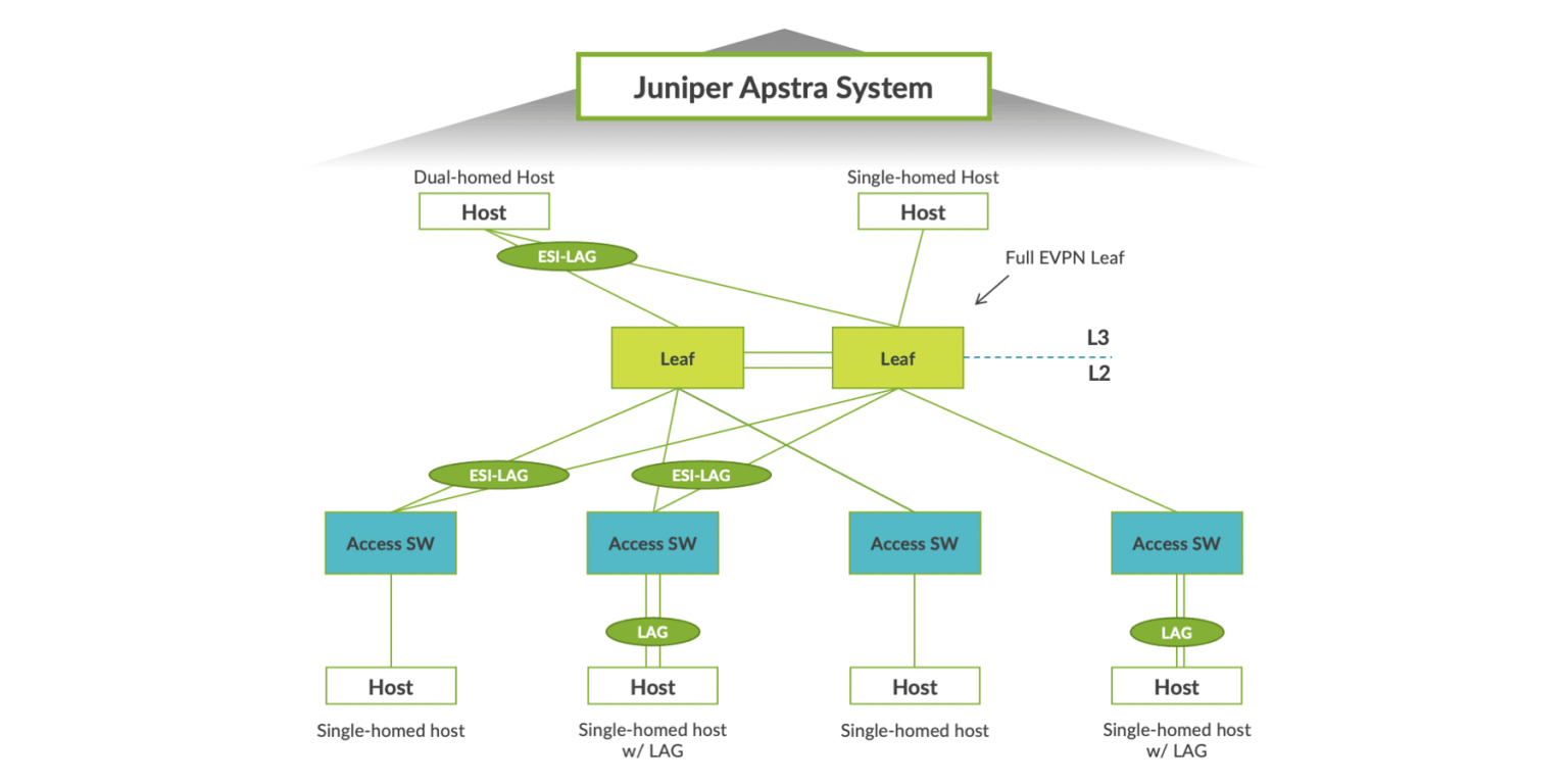 Juniper перевод