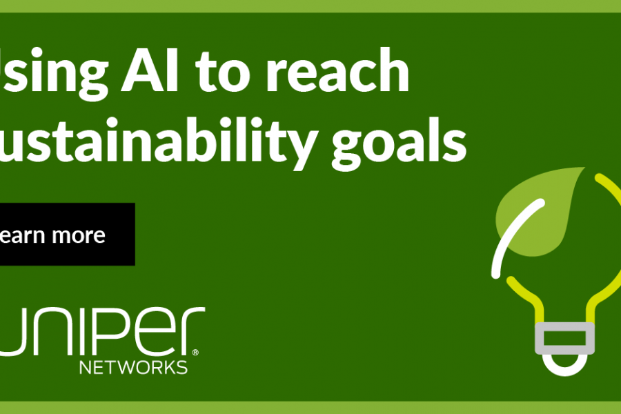 Are AI and Sustainability Compatible?